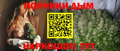 apvp Новодвинск