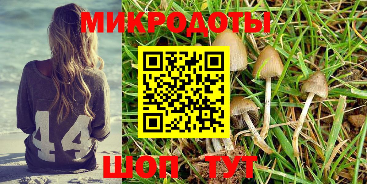 Топки  Псилоцибиновые грибы Psilocybine cubensis  Вход с VPN  Псилоцибиновые грибы Psilocybe 